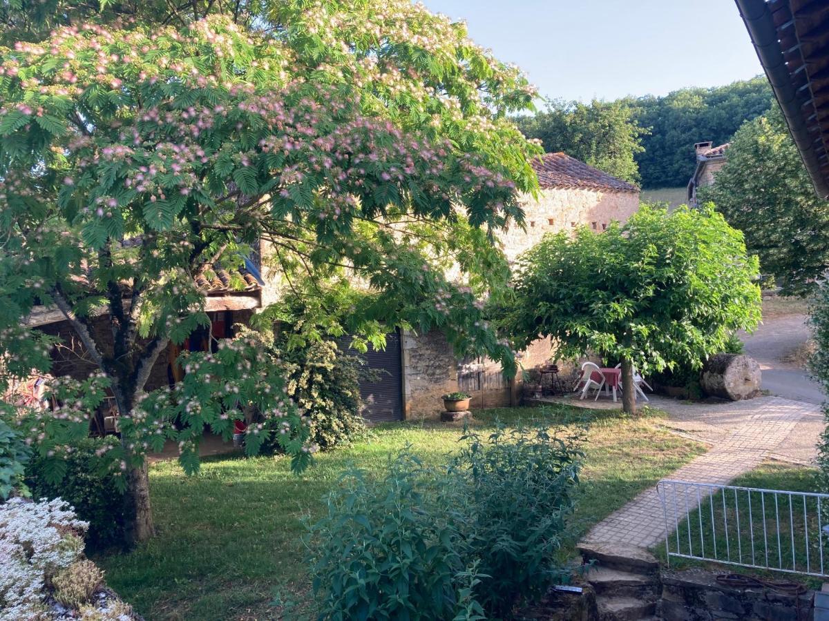 La Ferme Du Paradis Verfeil-sur-Seye Ngoại thất bức ảnh